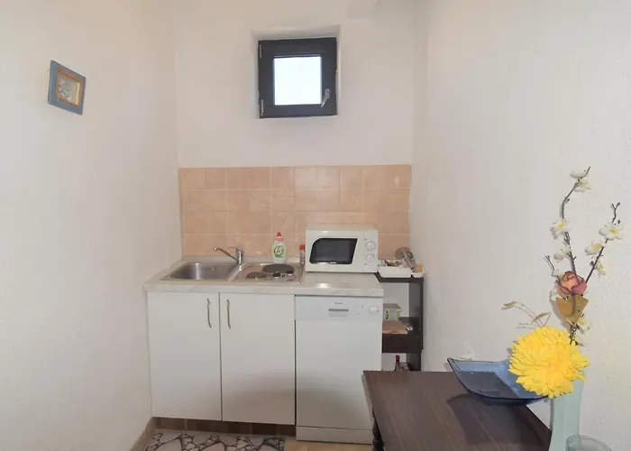 Διαμέρισμα Novi *